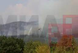 Претседателката Силјановска Давкова null